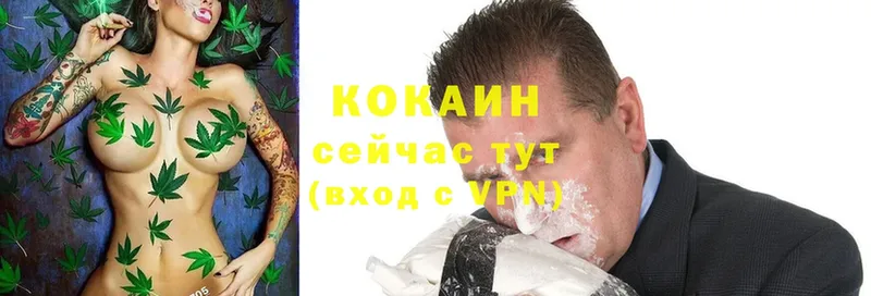 Купить закладку Гусиноозёрск Гашиш  Cocaine  A-PVP  МАРИХУАНА  Галлюциногенные грибы  Меф мяу мяу 